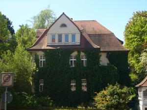Begrünte Fassade Friedrich-Engels-Straße 10