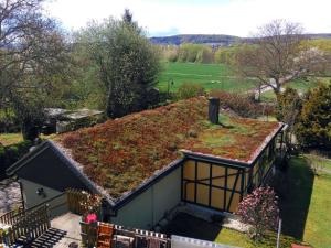Dachbegrünung An der Mühle 48 Kunitz