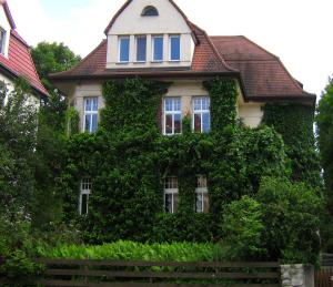 Begrünte Hausfassade Friedrich-Engels-Straße 10