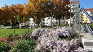 Herbstliches Staudenband