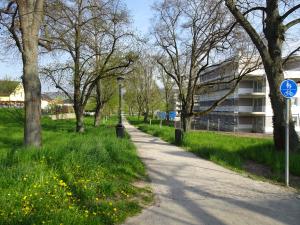 Lindenallee Qualifizierung des vorhandener Fuß- und Radweg