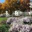 Herbstliches Staudenband