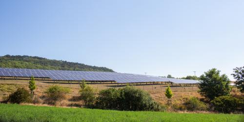 Eine Freiflächen-Photovoltaik-Anlage unter sonnigem Himmel.